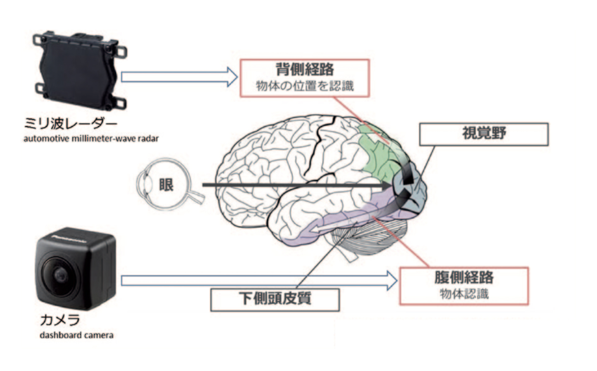 物体認識と物体の位置の認